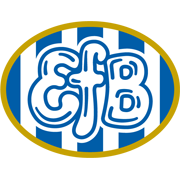 基希纳乌野牛